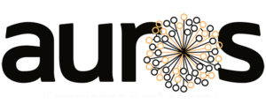Auros-Knowledge-systems-Logo