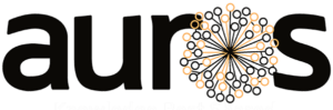 Auros Knowledge Systems Logo