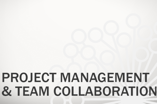 Project Management And Team Collaboration