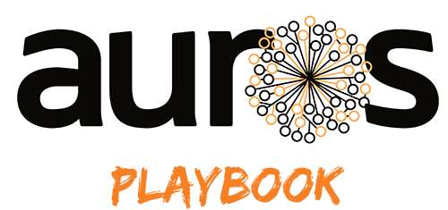 Auros Playbook