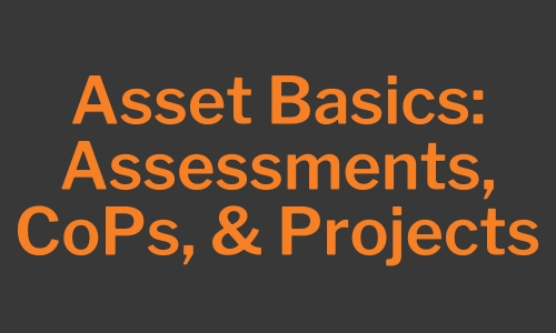 Auros Asset Basics: Assessments, CoPs, & Projects Banner